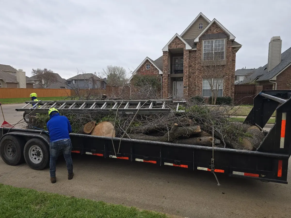 Expert Tree Removal with proper safety equipment in Covington